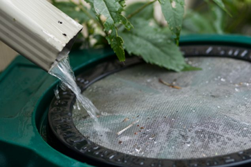 Collecting Rainwater